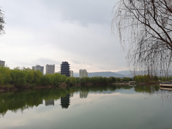 蘭州銀灘黃河濕地公園。新甘肅·甘肅日報記者杜雪琴攝.jpg 蘭州銀灘黃河濕地公園。新甘肅·甘肅日報記者杜雪琴攝.jpg